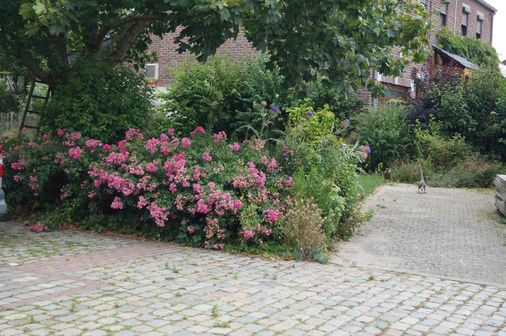 La Petite Maison Sart lez Walhain Exterior foto